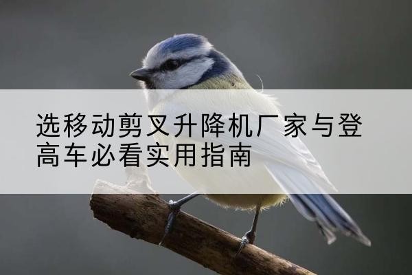 莆田电动升降机厂家-选移动剪叉升降机厂家与登高车必看实用指南