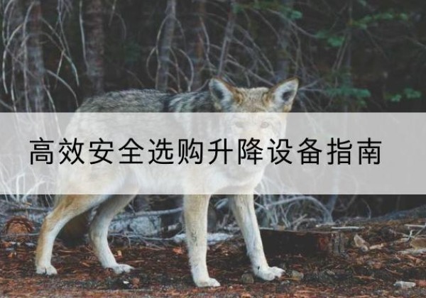 莆田升降货梯厂家推荐-*安全选购升降设备指南