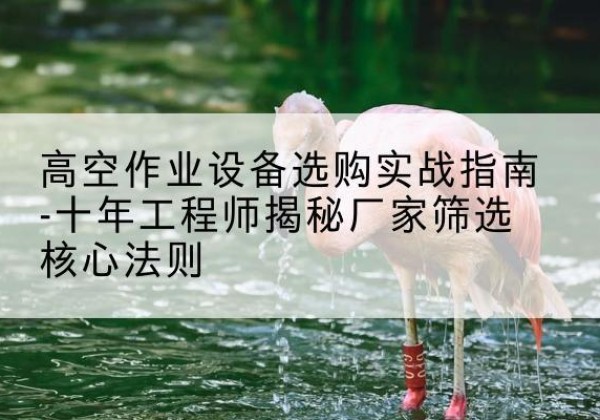 莆田剪叉式升降机厂家-高空作业设备选购实战指南-十年工程师揭秘厂家筛选核心法则